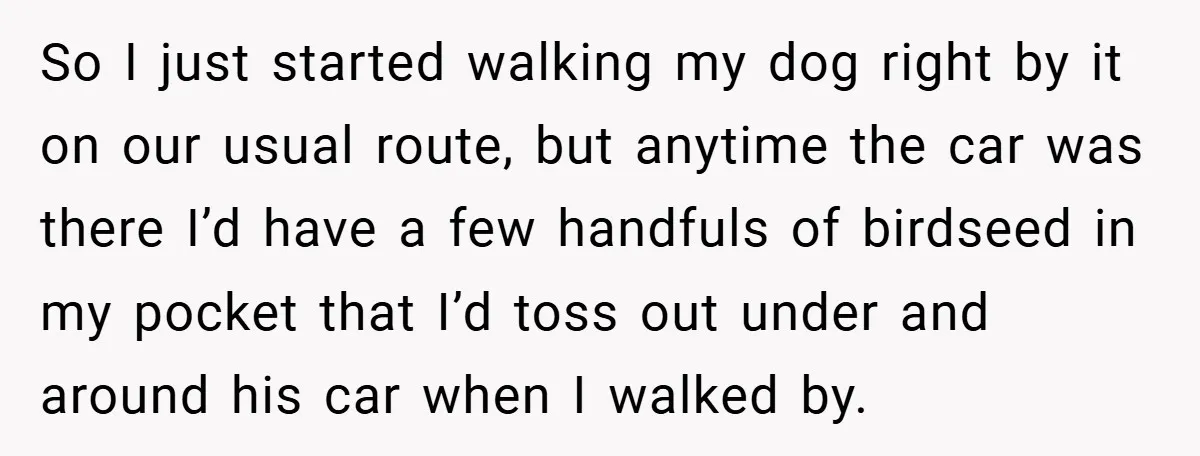 Petty Revenge Gone Feathered: How Crows Became Her Secret Weapon So I just started walking my dog right by it on our usual route, but anytime the car was there I’d have a few handfuls of birdseed in my pocket...