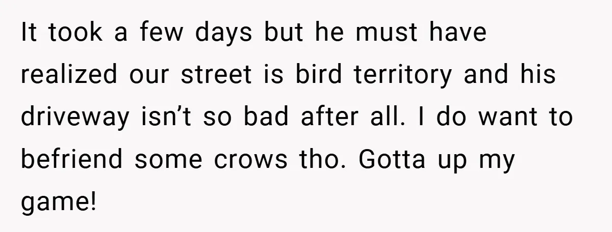 Petty Revenge Gone Feathered: How Crows Became Her Secret Weapon It took a few days but he must have realized our street is bird territory and his driveway isn’t so bad after all. I do want to befriend some crows...