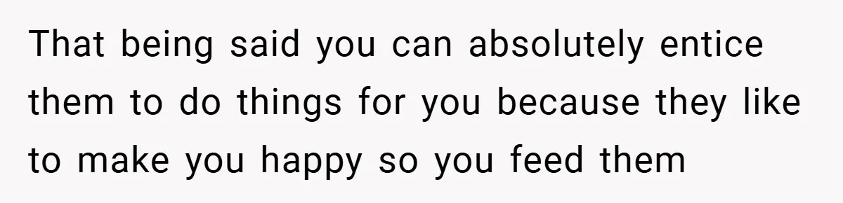 Petty Revenge Gone Feathered: How Crows Became Her Secret Weapon That being said you can absolutely entice them to do things for you because they like to make you happy so you feed them