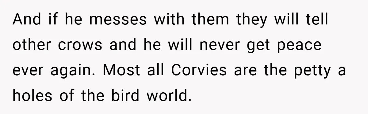 Petty Revenge Gone Feathered: How Crows Became Her Secret Weapon And if he messes with them they will tell other crows and he will never get peace ever again. Most all Corvies are the petty a holes of the bird...
