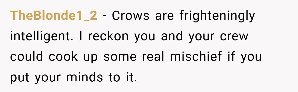 Petty Revenge Gone Feathered: How Crows Became Her Secret Weapon TheBlonde1_2 − Crows are frighteningly intelligent. I reckon you and your crew could cook up some real mischief if you put your minds to it.