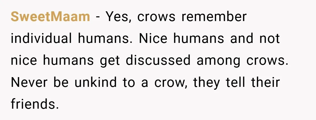Petty Revenge Gone Feathered: How Crows Became Her Secret Weapon SweetMaam − Yes, crows remember individual humans. Nice humans and not nice humans get discussed among crows. Never be unkind to a crow, they tell their friends.