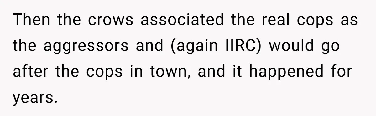 Petty Revenge Gone Feathered: How Crows Became Her Secret Weapon Then the crows associated the real cops as the aggressors and (again IIRC) would go after the cops in town, and it happened for years.