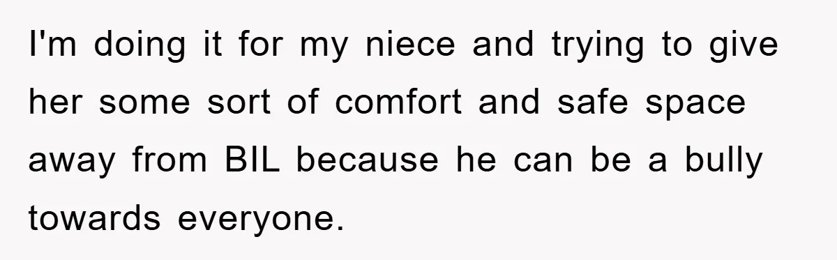 I'm doing it for my niece and trying to give her some sort of comfort and safe space away from BIL because he can be a bully towards everyone.