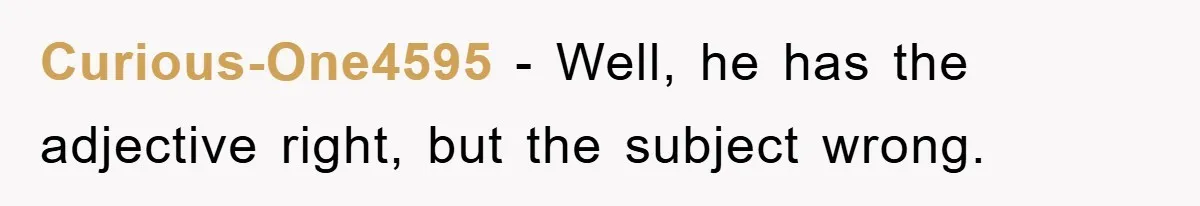 Curious-One4595 − Well, he has the adjective right, but the subject wrong.