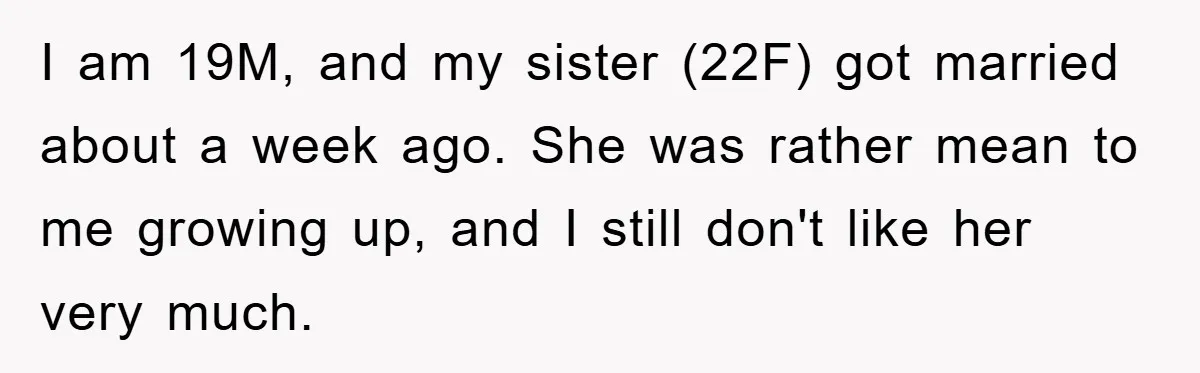 I am 19M, and my sister (22F) got married about a week ago. She was rather mean to me growing up, and I still don't like her very much.