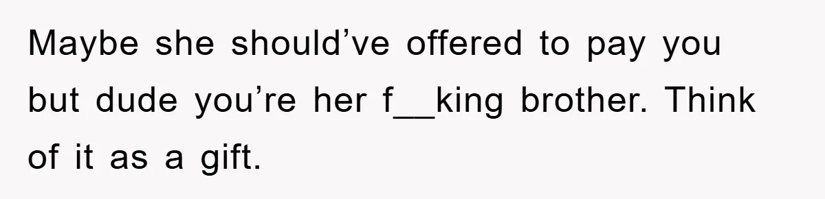 Maybe she should’ve offered to pay you but dude you’re her f__king brother. Think of it as a gift.