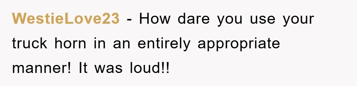 WestieLove23 − How dare you use your truck horn in an entirely appropriate manner! It was loud!!