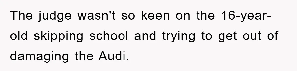 The judge wasn't so keen on the 16-year-old skipping school and trying to get out of damaging the Audi.
