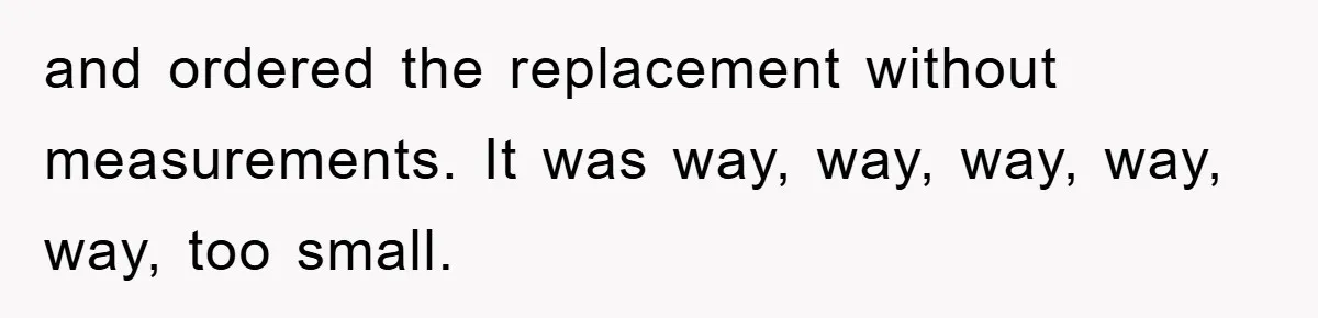 and ordered the replacement without measurements. It was way, way, way, way, way, too small.