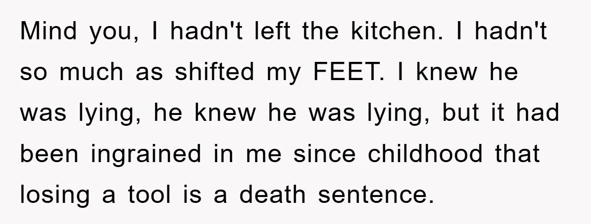 Mind you, I hadn't left the kitchen. I hadn't so much as shifted my FEET. I knew he was lying, he knew he was lying, but it had been ingrained...