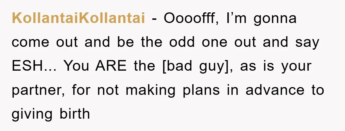 KollantaiKollantai - Oooofff, I’m gonna come out and be the odd one out and say ESH... You ARE the [bad guy], as is your partner, for not making plans in...