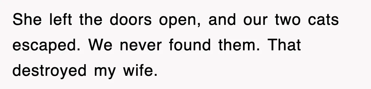 She left the doors open, and our two cats escaped. We never found them. That destroyed my wife.