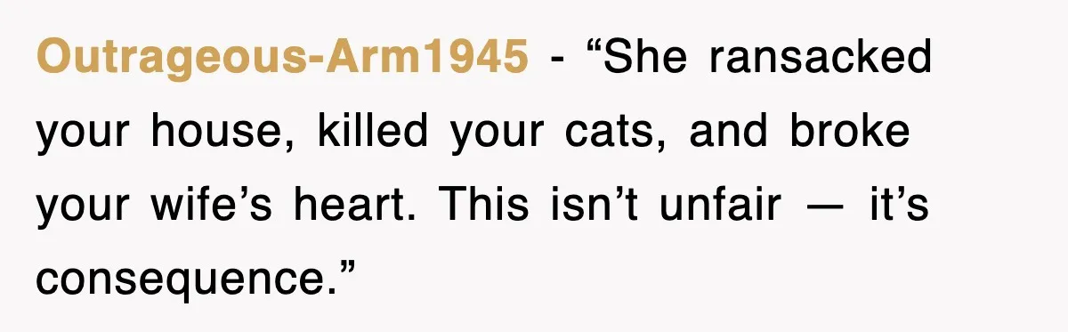 Outrageous-Arm1945 - “She ransacked your house, killed your cats, and broke your wife’s heart. This isn’t unfair — it’s consequence.”