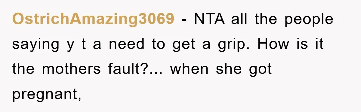 OstrichAmazing3069 - NTA all the people saying y t a need to get a grip. How is it the mothers fault?... when she got pregnant,
