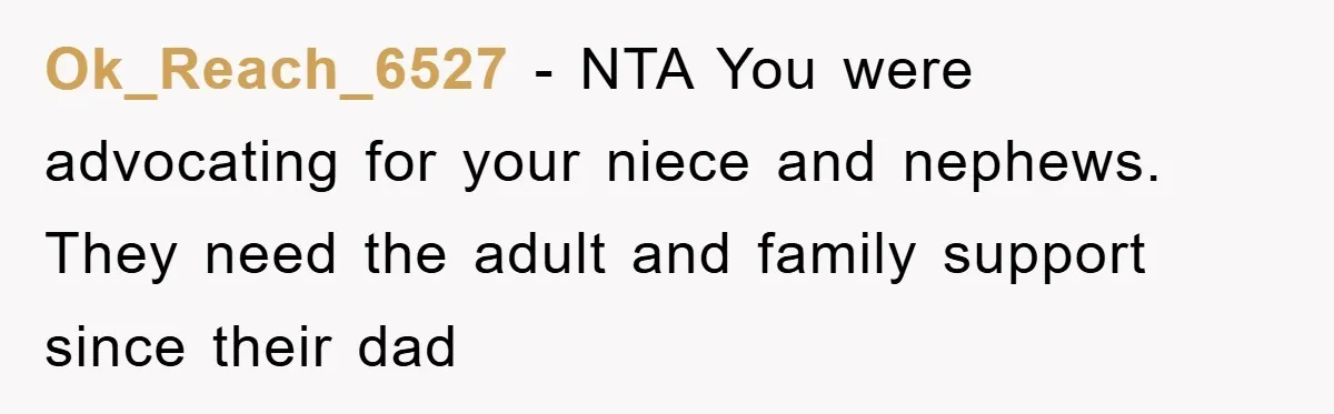 Ok_Reach_6527 - NTA You were advocating for your niece and nephews. They need the adult and family support since their dad