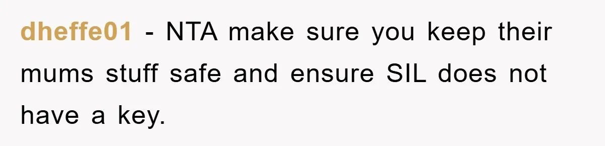 dheffe01 - NTA make sure you keep their mums stuff safe and ensure SIL does not have a key.