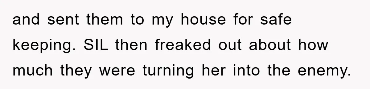 and sent them to my house for safe keeping. SIL then freaked out about how much they were turning her into the enemy.