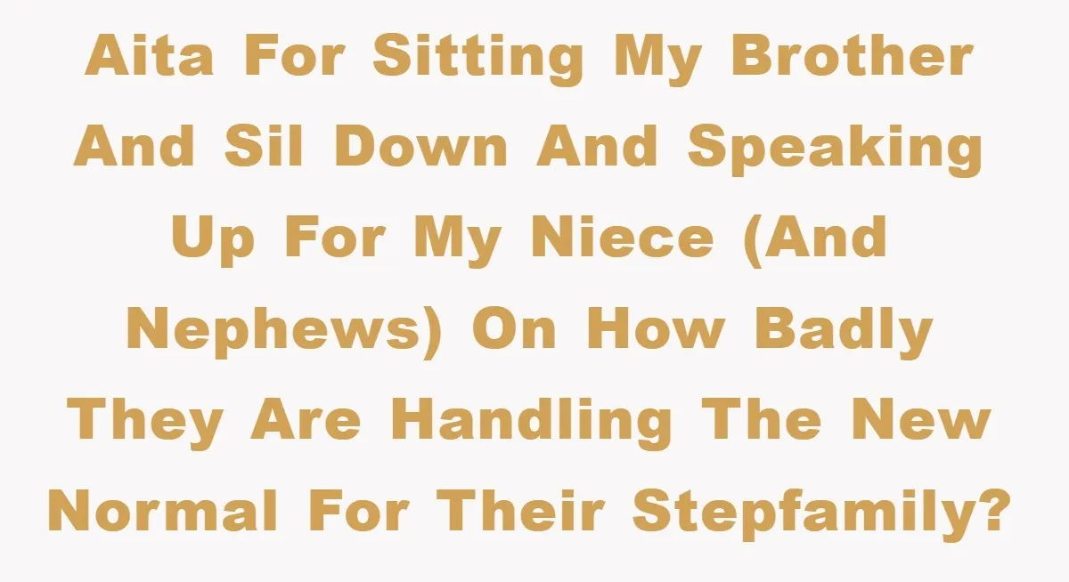 AITA for sitting my brother and SIL down and speaking up for my niece (and nephews) on how badly they are handling the new normal for their stepfamily?