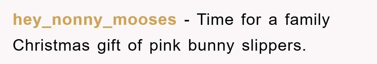 hey_nonny_mooses - Time for a family Christmas gift of pink bunny slippers.