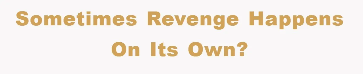 Sometimes Revenge happens on its own?