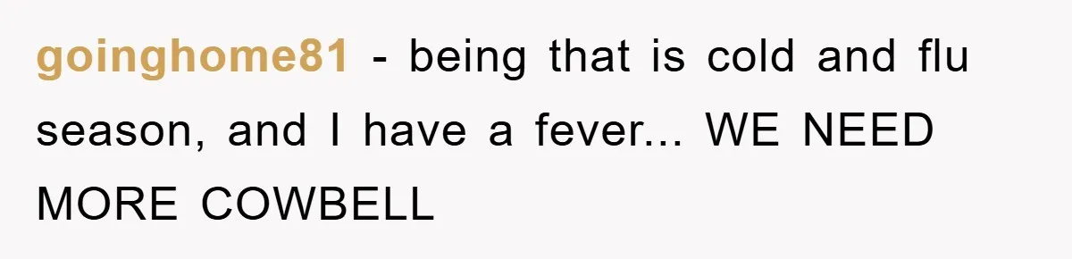 goinghome81 - being that is cold and flu season, and I have a fever... WE NEED MORE COWBELL