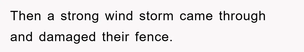Then a strong wind storm came through and damaged their fence.