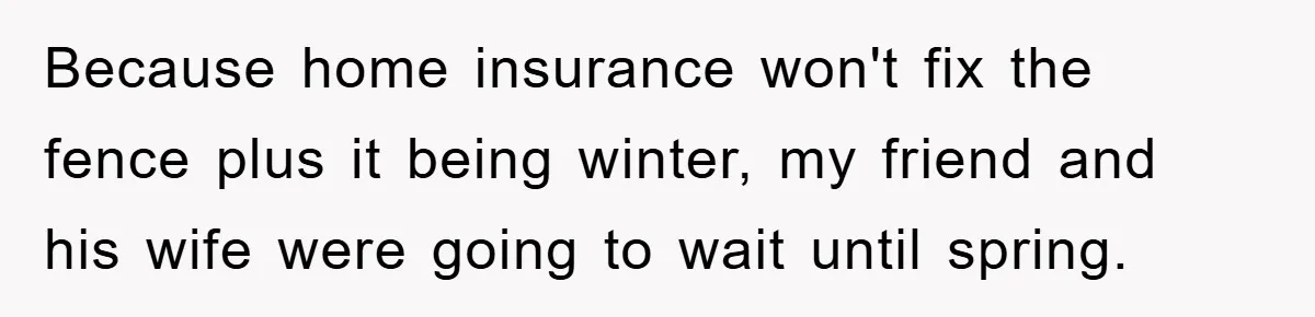 Because home insurance won't fix the fence plus it being winter, my friend and his wife were going to wait until spring.