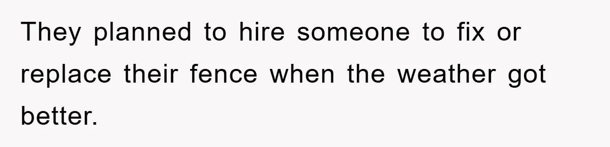 They planned to hire someone to fix or replace their fence when the weather got better.