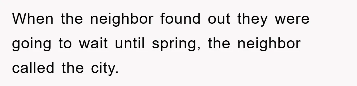 When the neighbor found out they were going to wait until spring, the neighbor called the city.