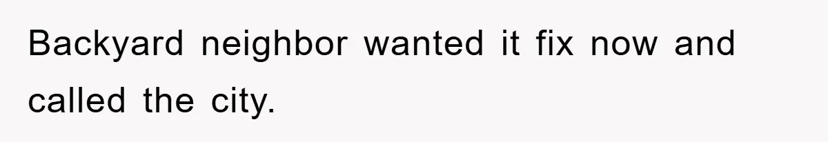 Backyard neighbor wanted it fix now and called the city.