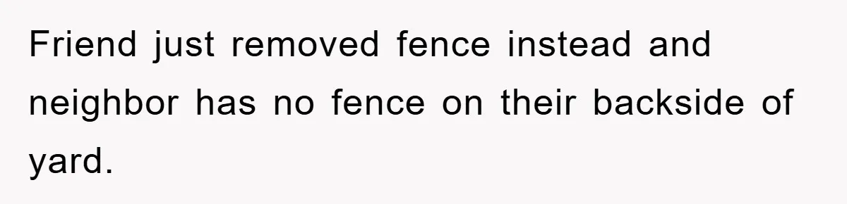 Friend just removed fence instead and neighbor has no fence on their backside of yard.