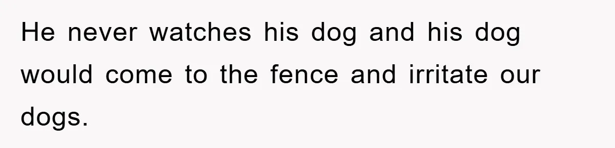 He never watches his dog and his dog would come to the fence and irritate our dogs.