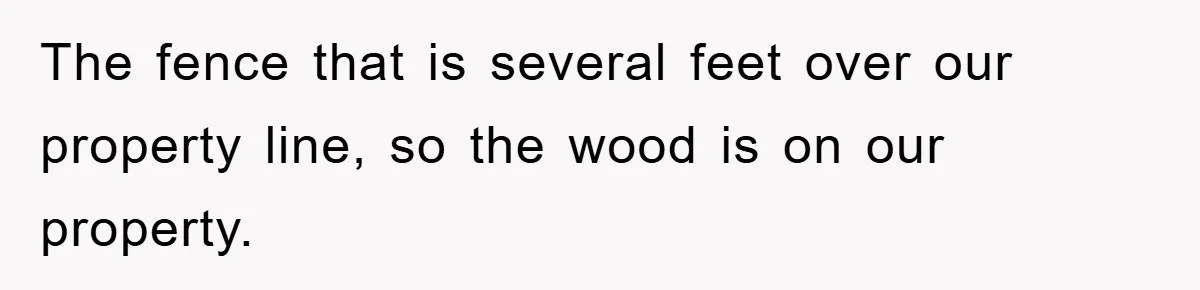 The fence that is several feet over our property line, so the wood is on our property.