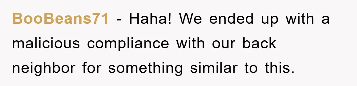 BooBeans71 − Haha! We ended up with a malicious compliance with our back neighbor for something similar to this.