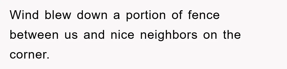 Wind blew down a portion of fence between us and nice neighbors on the corner.
