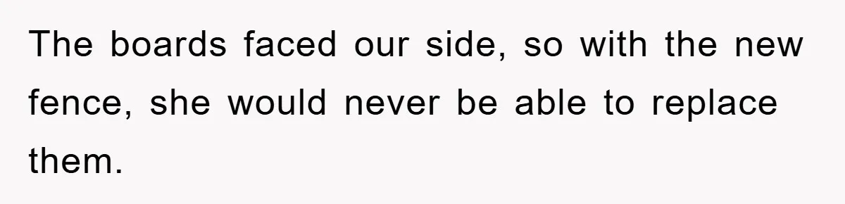 The boards faced our side, so with the new fence, she would never be able to replace them.