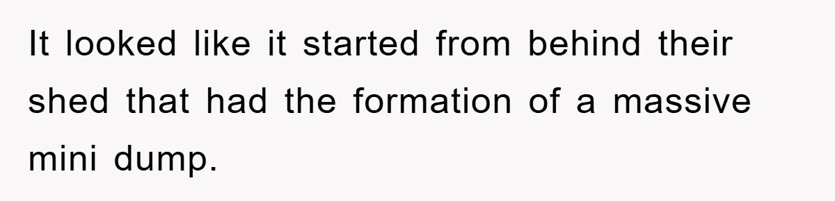 It looked like it started from behind their shed that had the formation of a massive mini dump.