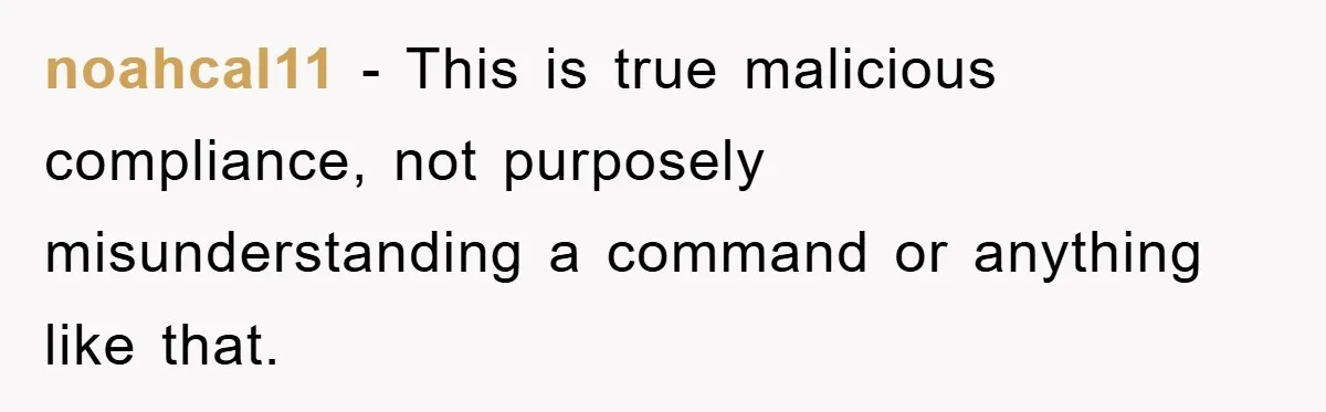 noahcal11 − This is true malicious compliance, not purposely misunderstanding a command or anything like that.