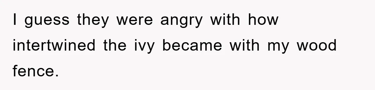 I guess they were angry with how intertwined the ivy became with my wood fence.