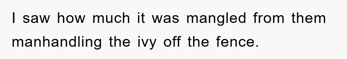 I saw how much it was mangled from them manhandling the ivy off the fence.