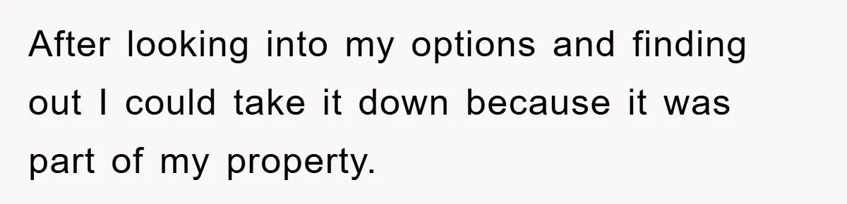 After looking into my options and finding out I could take it down because it was part of my property.