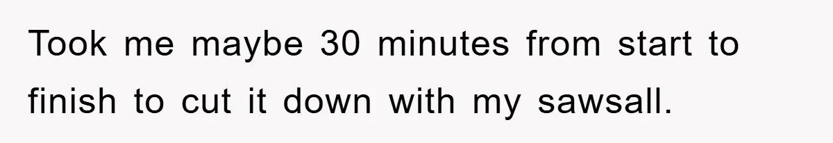 Took me maybe 30 minutes from start to finish to cut it down with my sawsall.