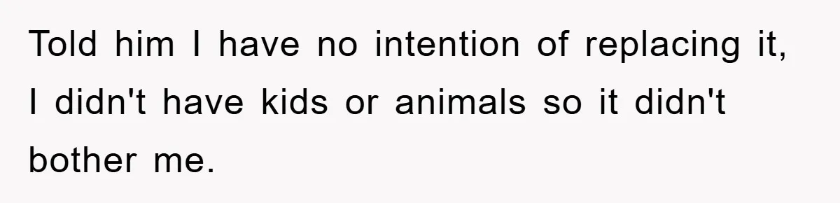 Told him I have no intention of replacing it, I didn't have kids or animals so it didn't bother me.