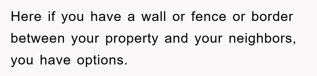 Here if you have a wall or fence or border between your property and your neighbors, you have options.