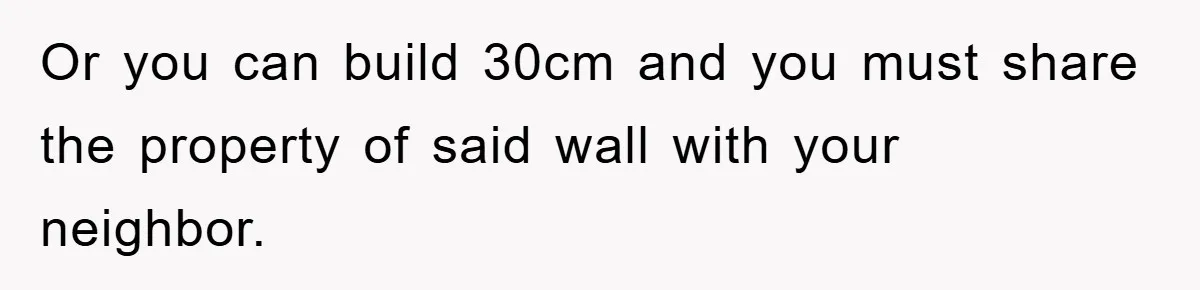 Or you can build 30cm and you must share the property of said wall with your neighbor.