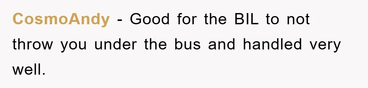 CosmoAndy − Good for the BIL to not throw you under the bus and handled very well.