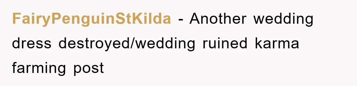 FairyPenguinStKilda - Another wedding dress destroyed/wedding ruined karma farming post