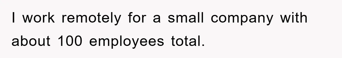 I work remotely for a small company with about 100 employees total.