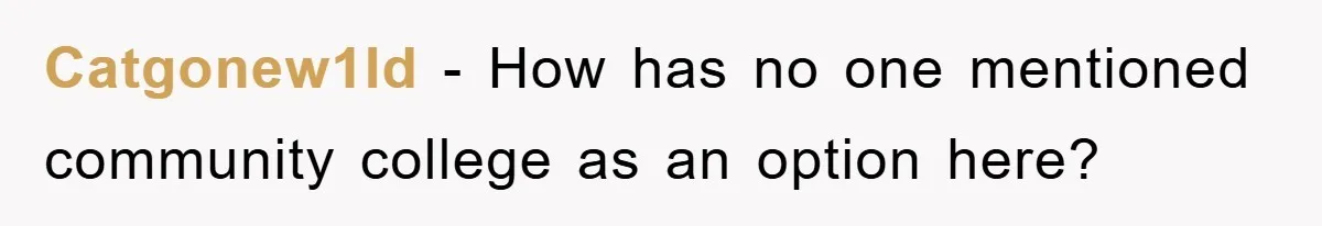 Catgonew1ld − How has no one mentioned community college as an option here?